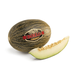 BOLLO® - Melón piel de sapo