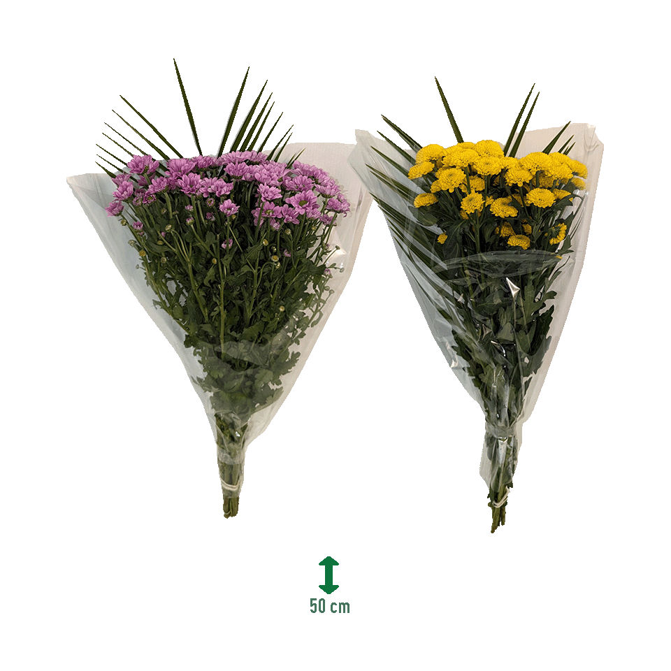 GARDENLINE® - Ramo de crisantemos santini