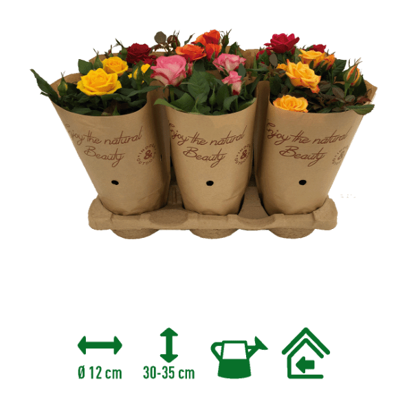 GARDENLINE® - Rosal