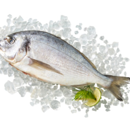 FISCHERSTOLZ - Dorada limpia