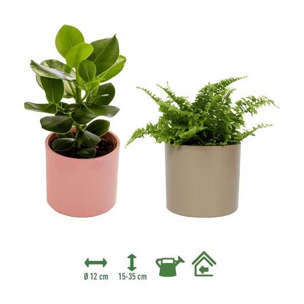 GARDENLINE® - Oase verde