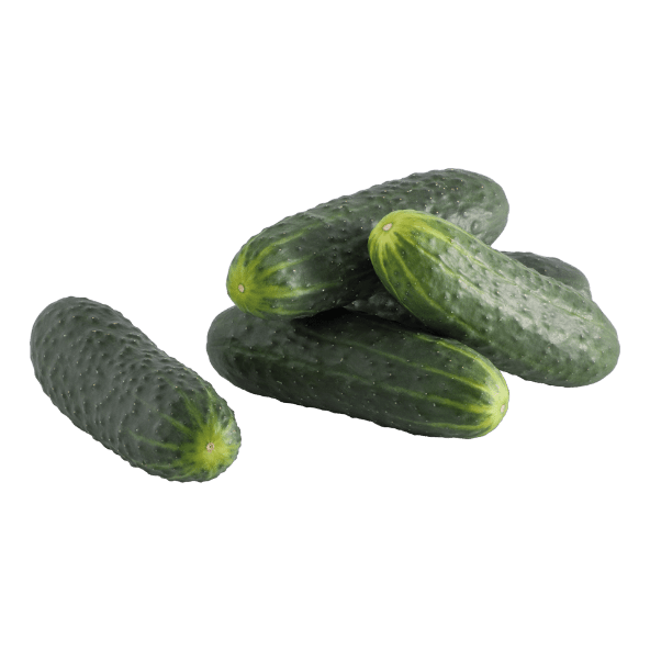 Pepino