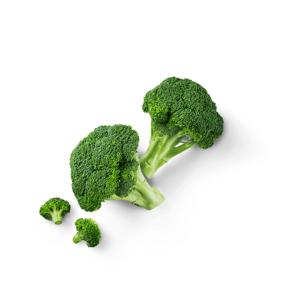 Brócoli