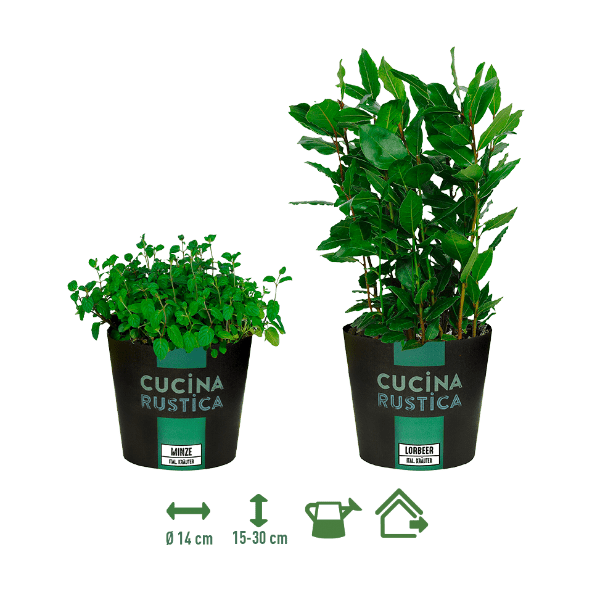 GARDENLINE® - Hierbas aromáticas