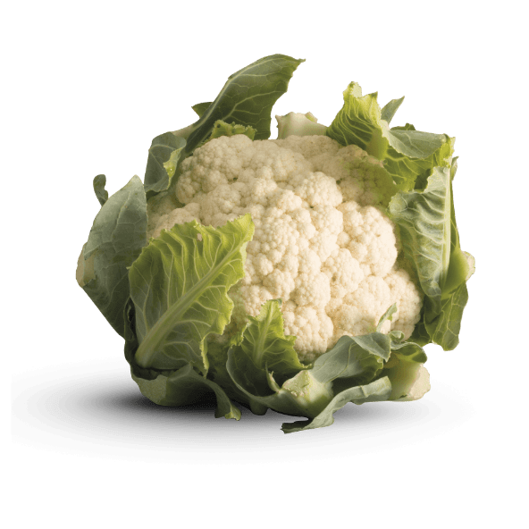 Coliflor