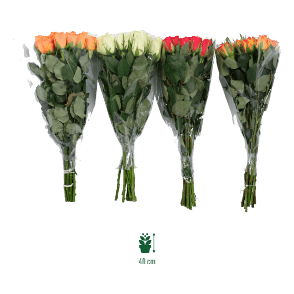 GARDENLINE® - Ramo de rosas