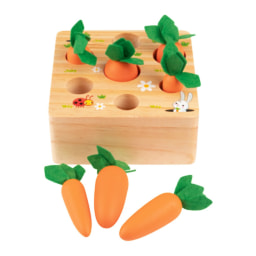 Cosecha de zanahorias
